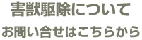 害獣駆除についてお問い合わせはこちら